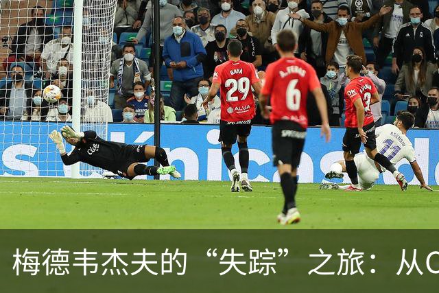 梅德韦杰夫的“失踪”之旅：从C位到无人问津